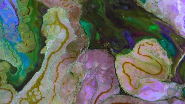 Abstract Colorful Sacral Liquid Waves Texture 603 alt