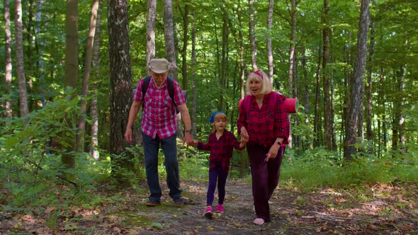 Active Senior Grandmother Grandfather Tourists Walking Hiking with Granddaughter in Summer Wood