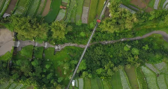 Vertical drone shot of river with waterfall metal with suspension bridge on it, surrounded by trees