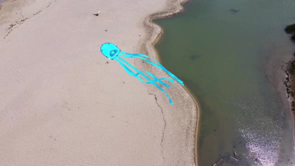 Blue Kite Flies on the Background of the Sea