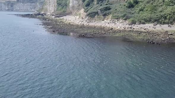 Flying up overseeing the chalk cliffs of Seaton beach in England. Rock formation, boulders, and gree