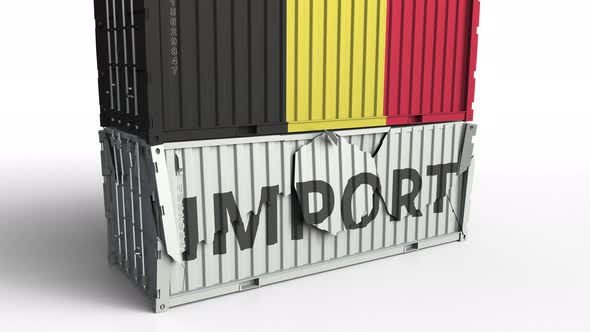 Container with Flag of Belgium Breaking Container with IMPORT Text alt