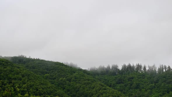 Persistent fog clearing on a summer morning in the moselle region. Static low angle time lapse foota