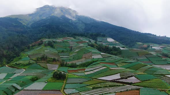 Patchwork quilt of agricultural fields on mountain slope aerial view, Indonesia