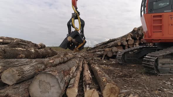 Harvester Cutting Tree Trunk in field near the forest 21