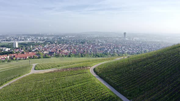 Drone view of vineyards and the city of Kappelberg in Germany