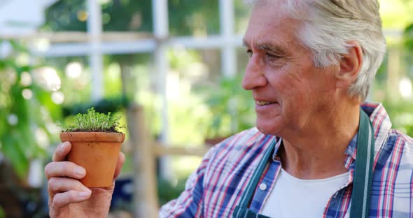 Mature man checking pot plant