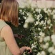 Smiling Woman Cutting Jasmine Flowers in Garden - VideoHive Item for Sale