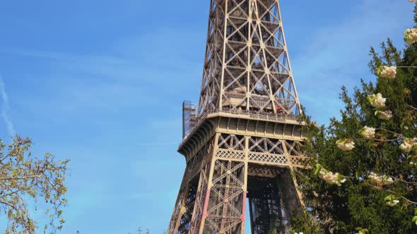 Eiffel Tower in Paris Spring