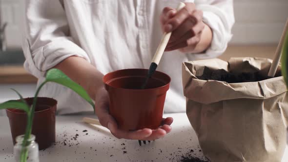 Woman Holding Pot. Near Small Sprout Of Plant In Water. Standing, Happy Woman With Flowerpot Growing