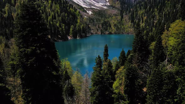 Mountain Lake Malaya Ritsa in the Middle of a Coniferous Forest