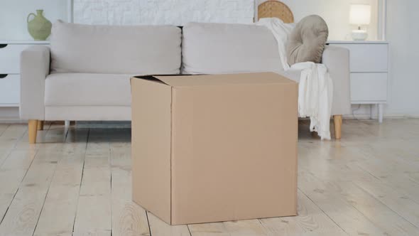 Big Large Cardboard Box Package Stands on Floor in Interior of Living Room Near Sofa Unexpectedly