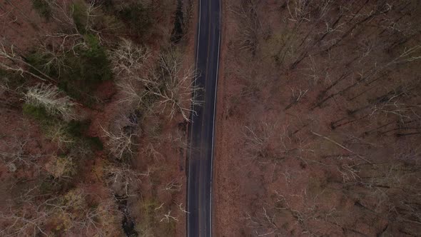 Aerial drone video footage top down view of a autumn tree canopy and dirt road adjacent to a stream