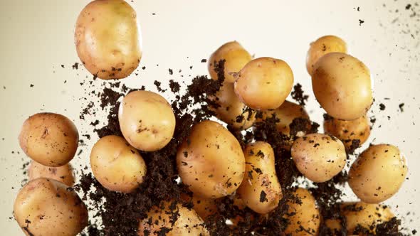 Super Slow Motion Shot of Flying Potatoes with Soil at 1000 Fps