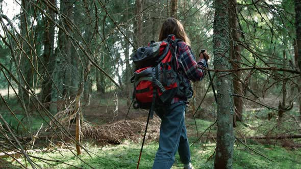 Woman Hiking in Fairytale Forest