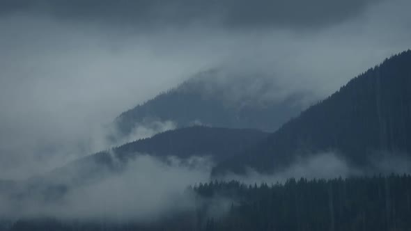 Wild Misty Mountains In The Rain