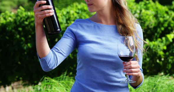 Beautiful woman examining wine in vineyard