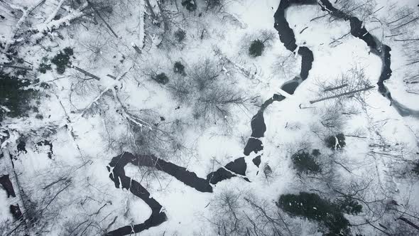 Aerial view of a wild winter forest. Frozen river in a cold winter forest