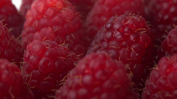 Raspberries Spinning Close Up As Restaurant Background Juicy Raspberries for Advertising Fresh