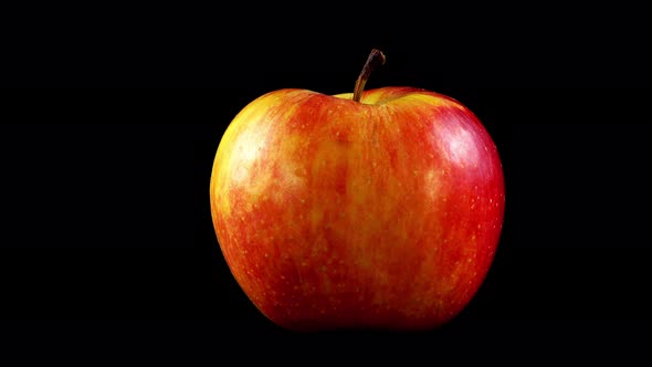 Apple on a Black Background 3