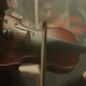 the String Quartet Plays Classical Musicmedium Shoot - VideoHive Item for Sale