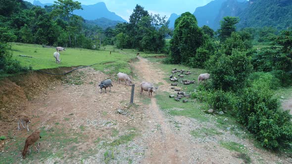 Landscape around the city of Vang Vieng in Laos seen from the sky