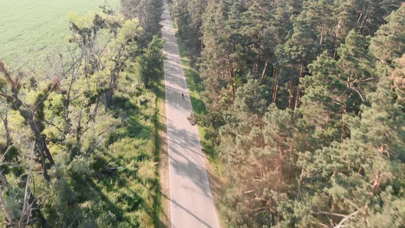 Aerial road cycling on forest empty road