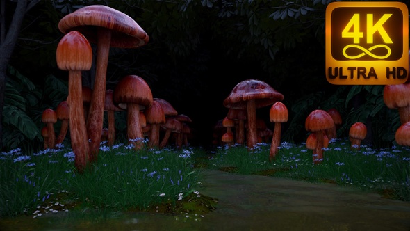 Brown forest mushrooms magic 3d background beautiful animation inside the psilocybin psychedelic vj