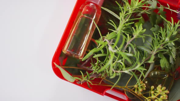 Herbs In Red Medicine Box alt