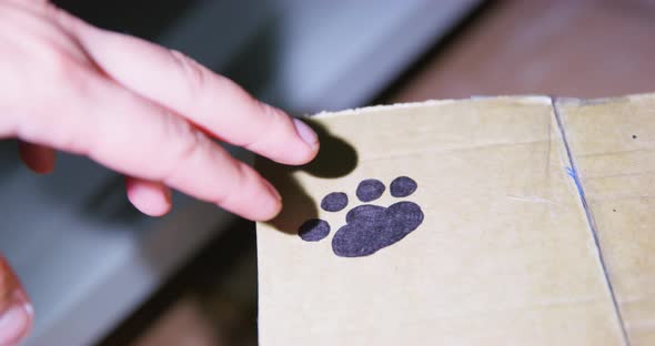 Person Found a Cardboard Box in the Dark with Footprint of Paw of Dog Painted on Its Surface