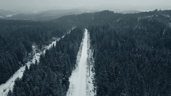 Aerial View From Drone on Car Driving Through Winter Snow Covered Forest