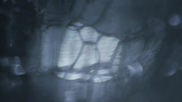 Cinematic Abstract Motion Background (No CGI used) 0089 alt