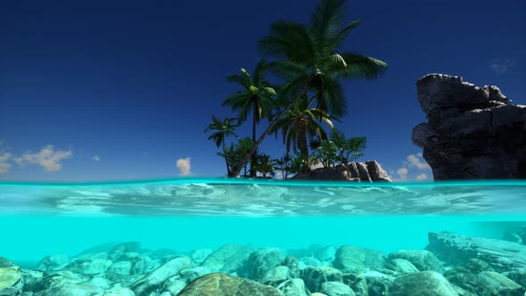 Split View Cross Section of Sea Water and Palm Trees on Island alt