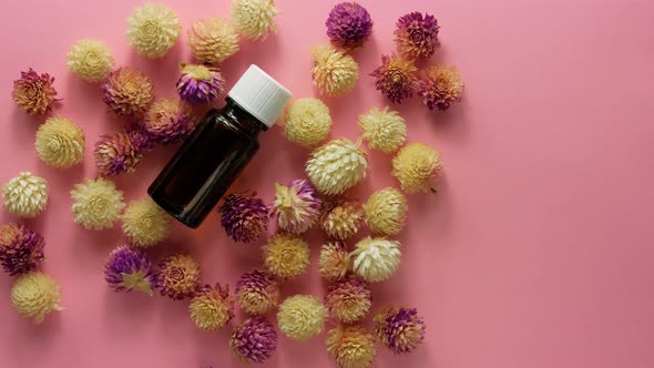 Herbal essential oil glass bottle mockup pink flowers background. Alternative medicine skin care 4K