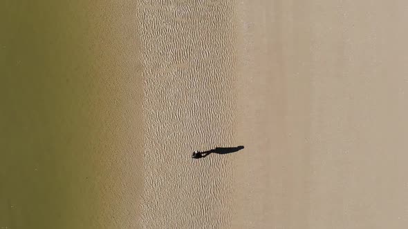 Aerial, top down, drone shot of a man walking on a beach