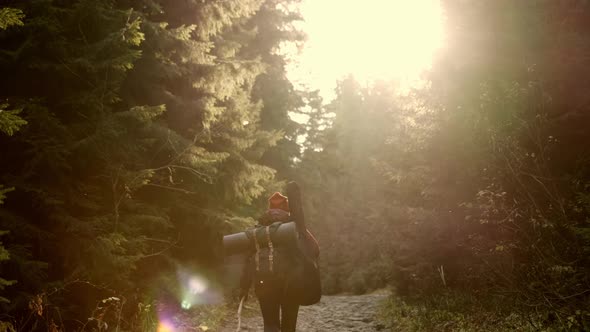 Hiker Walking in Green Woods