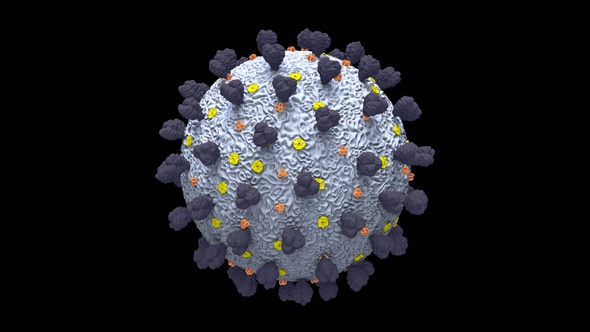 Coronavirus Covid 19 Cell alt