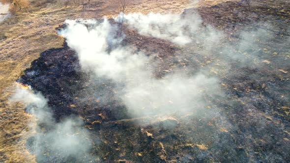 Aerial Drone View Burning Dry Grass