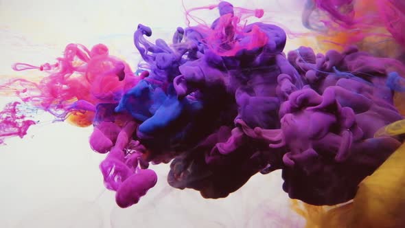 Ink Cloud Magenta Smoke Motion alt