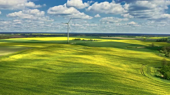 Amazing yellow rape fields and wind turbine in countryside.