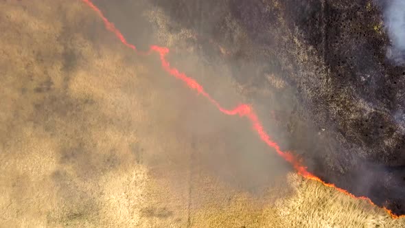 Aerial view of a field with dry grass set on fire with orange flames and high column of smoke.