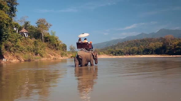 Traditional Trekking on the Elephants in Southeast Asia.