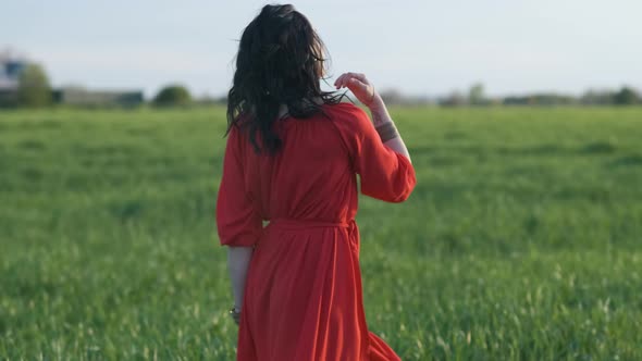 Beautiful Young Woman in a Red Dress Walks in a Green Wheat Field at Sunset or Dawn