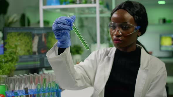African Reseacher Looking at Test Tube with Green Dna of Sapling