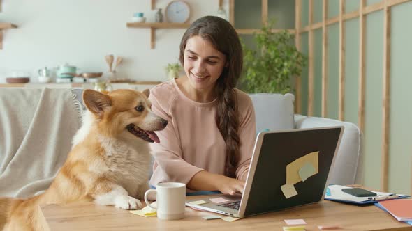 Today's Generation Uses Remotely Work From Home. Woman Working With A Laptop and Stroking a Cute Dog