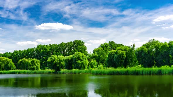 Green Urban Park