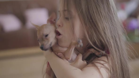 Portrait of Cute Little Girl Hugging and Kissing Her Small Brown Chihuahua Dog