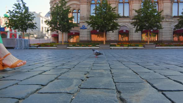 A young girl in beautiful shoes walking by Gum