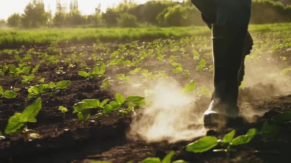 Farmer Walking on the Field in Rubber Boots