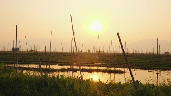 Floating Gardens Of Inle Lake. Shan State, Myanmar.  Nature Beauty Concept.